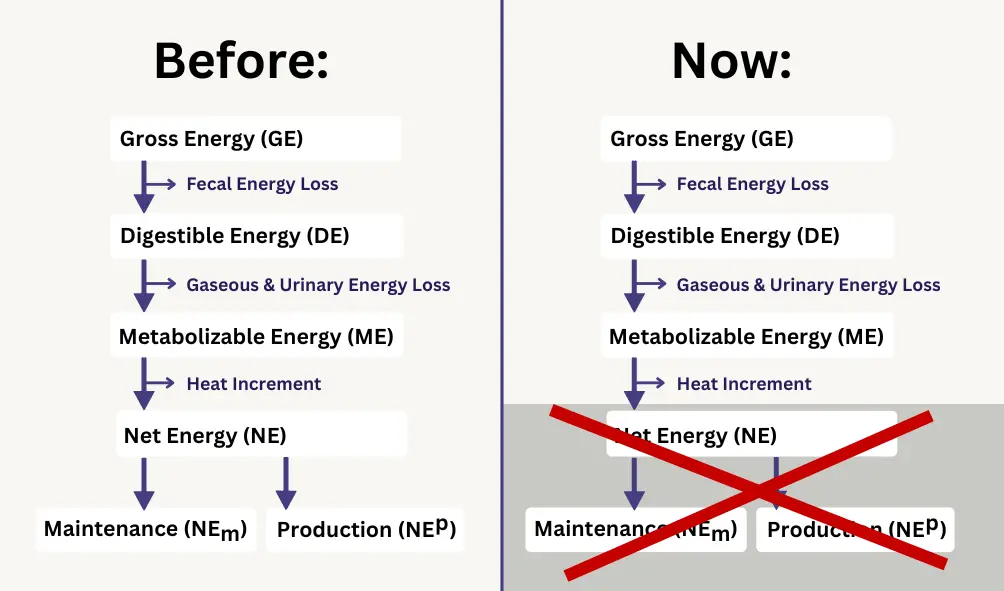 Сравнение энергетического подхода для молочных коров: Слева — традиционный подход, справа — новый подход, который отказывается от отдельного расчета чистой энергии. Взгляд на измененные концепции расчета энергии в молочном животноводстве.