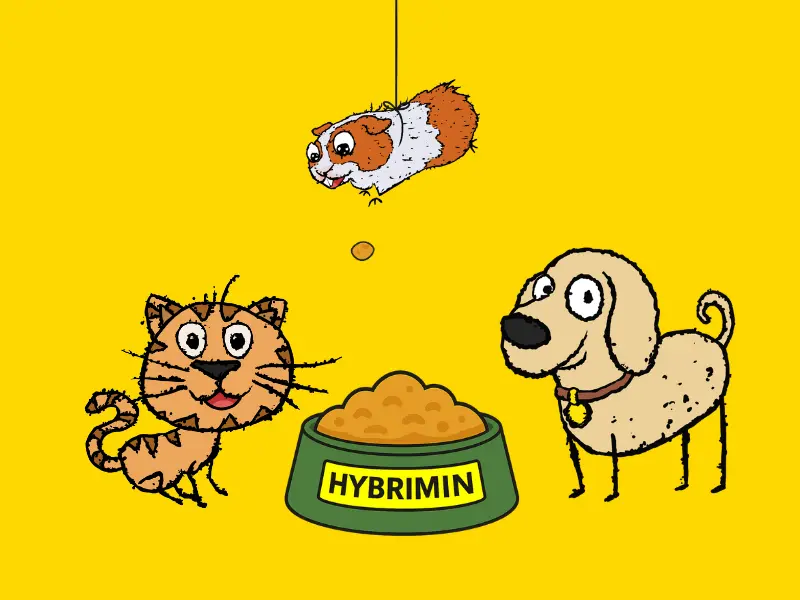 Hund, Katze und Meerschweinchen, die um einen Futternapf mit HYBRIMIN-Schriftzug stehen. Symbolbild für Heimtiere und Futterberechnung.