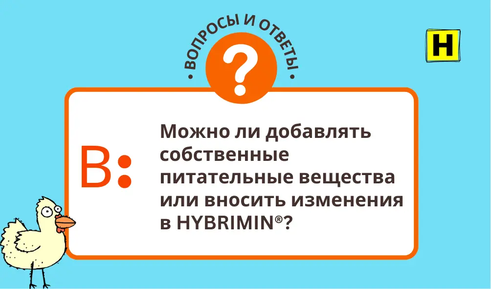 Иллюстрация в стиле Q&A для HYBRIMIN®: на голубом фоне карточка с заголовком «Вопросы и ответы» и вопросом «Можно ли добавлять собственные питательные вещества или вносить изменения в HYBRIMIN®?». В центре — значок с вопросительным знаком, в левом нижнем углу изображена мультяшная курица, в правом верхнем — логотип HYBRIMIN®.